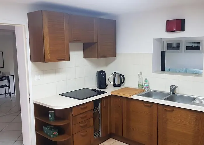 Appartement Grand Climatisé Avec Terrasse Et Parking Castelnau-le-Lez
